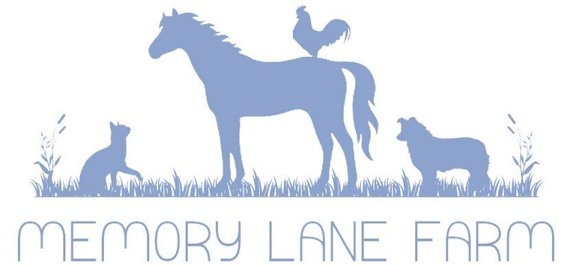 MEMORY LANE FARM